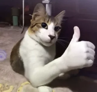 👍