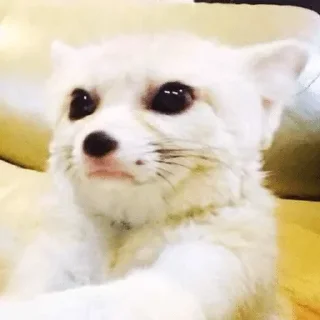 😑