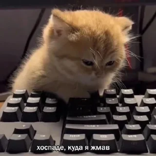 ⌨️
