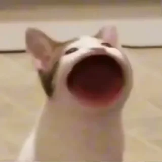 😮