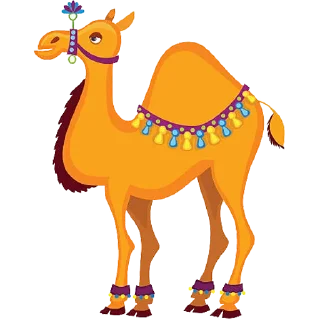 🐪