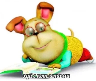🌟