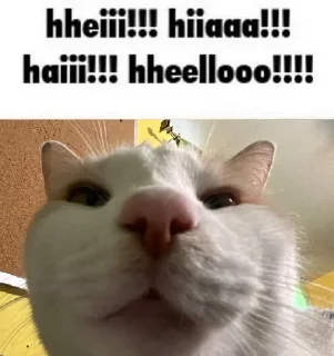 👋