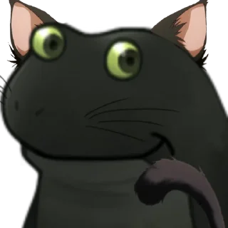 🐈‍⬛