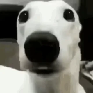 😱