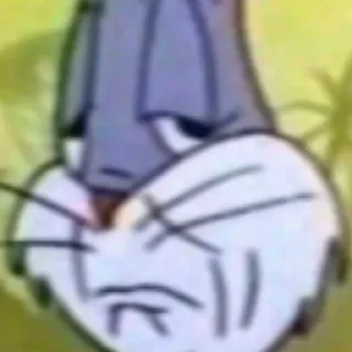 🐰