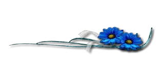 🌼