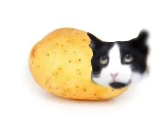 🥦