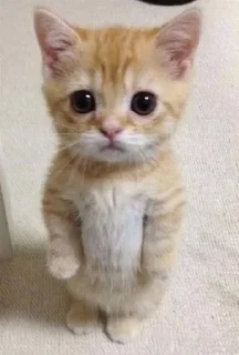 😐