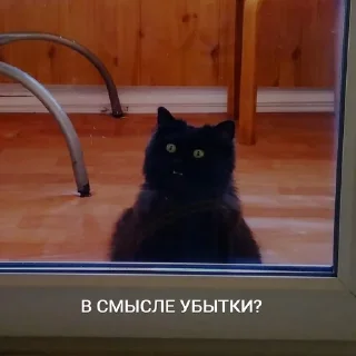 😨