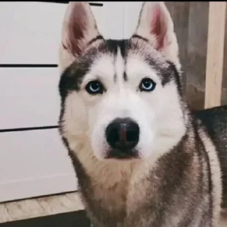 🌟