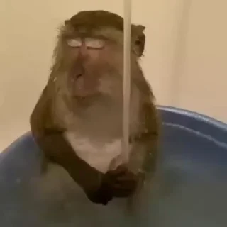 🌟