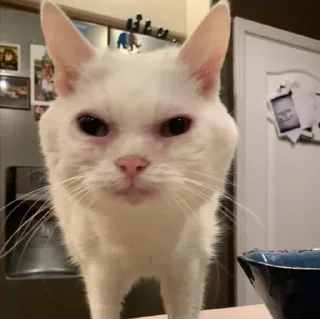 🧐