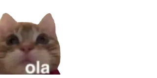😶
