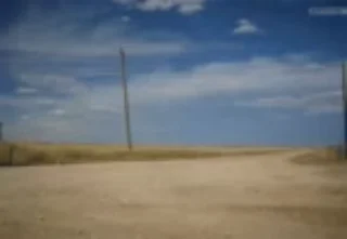 🦗
