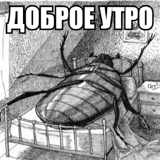 😌