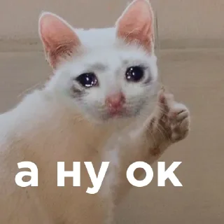 👌