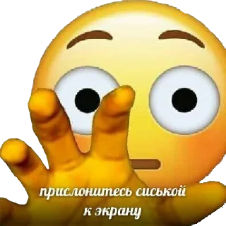 🙋‍♀️