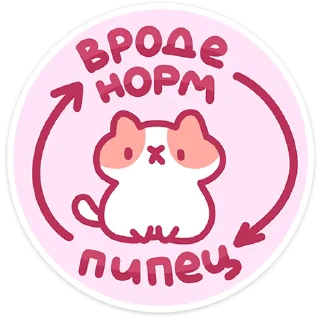 🐱