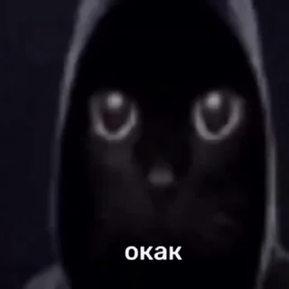 FUNNY_MEM