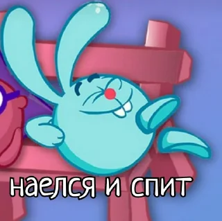 😴