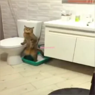 🚽