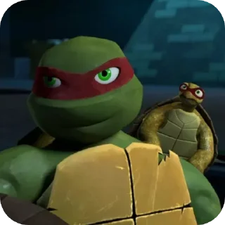 🐢