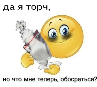 🐱