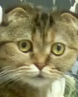 😨