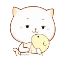 🐱