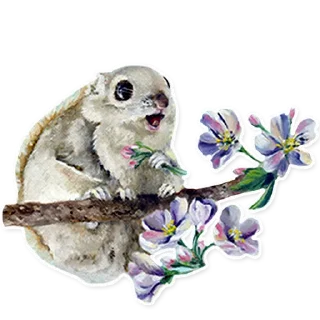 💐