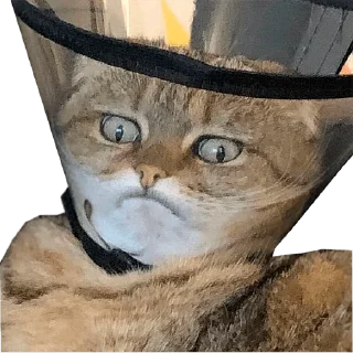 😠