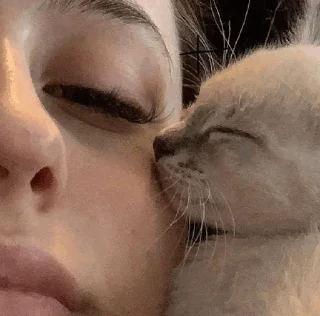 😚
