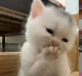 🤭