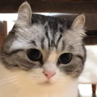 ❤️‍🔥