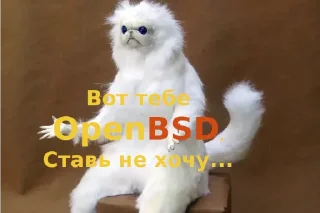 🙈
