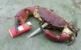 🚬