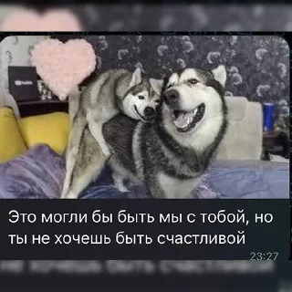 🤩