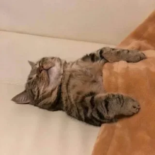 😐