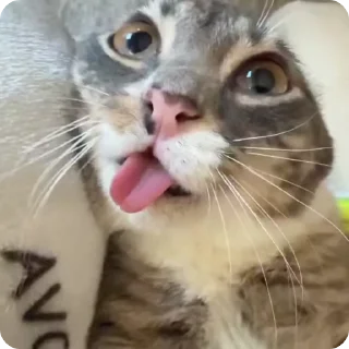 😯