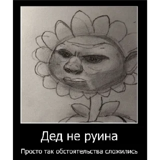 👴