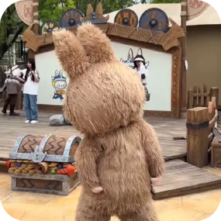 🧦
