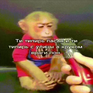 🐵