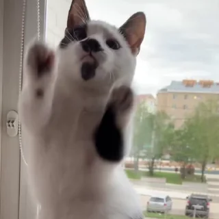 ☺️