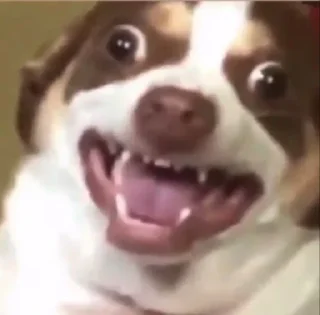 👋