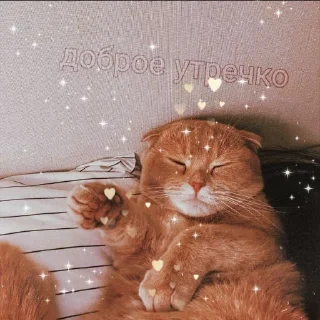 💗