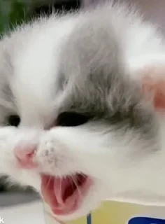🤬