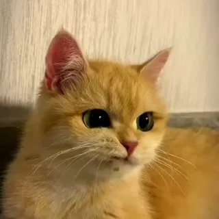 🤨