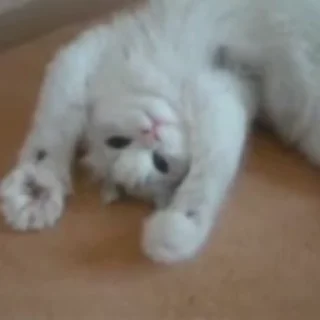☺️