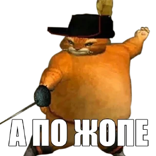 😼